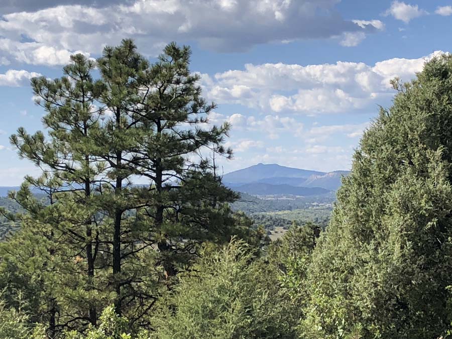hunters paradise, wildlife deer elk turkey, tremendous views continental divide, Chama peak, mountain land for sale with power, road, gated, site work Chama area, Buckman road