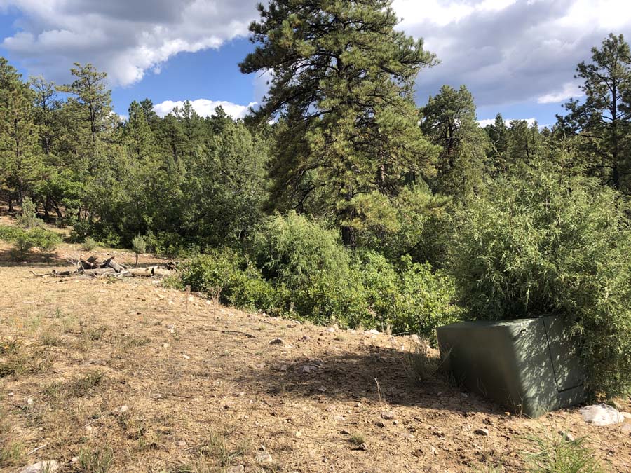 hunters paradise, wildlife deer elk turkey, tremendous views continental divide, Chama peak, mountain land for sale with power, road, gated, site work Chama area, Buckman road