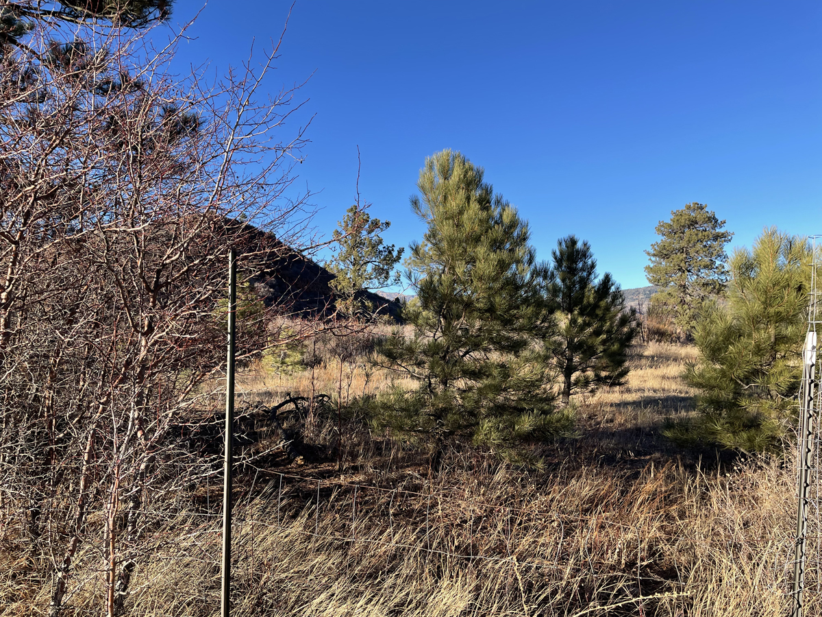 Chama NM land, 1 acre, Country living lot for sale, Northern New Mexico land for sale