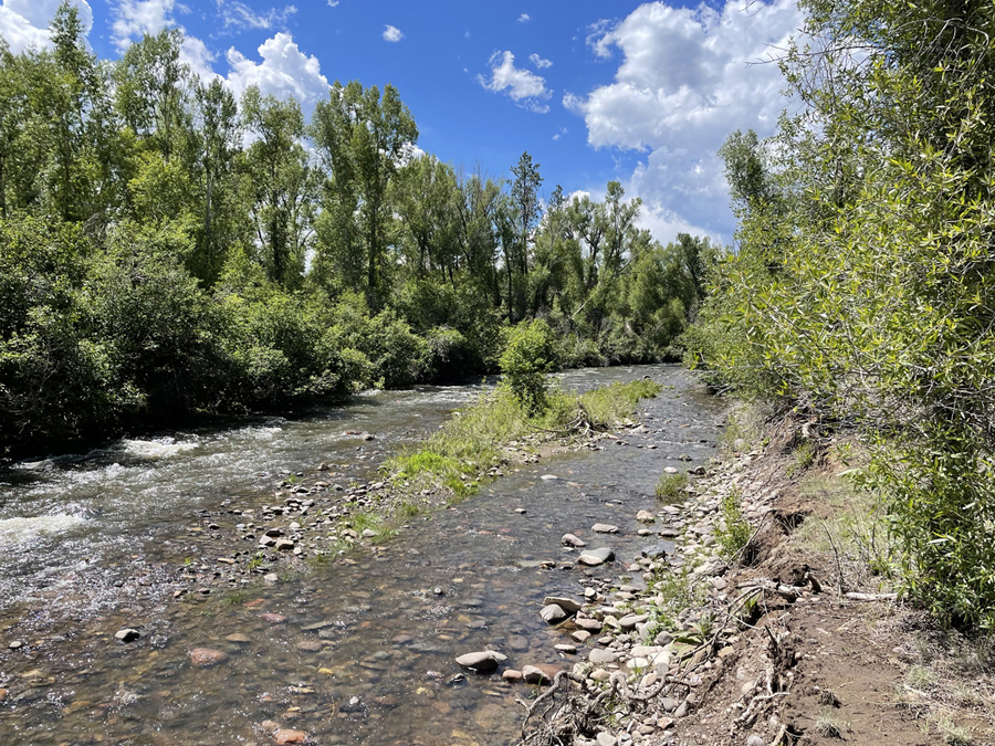 Chama NM land, 24.60 +/- acres with river frontage, wooded land for sale, Country living land for sale, Northern New Mexico land for sale