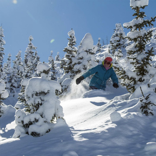 Skiing near Northern New Mexico, Wolf Creek Ski Area, Colorado