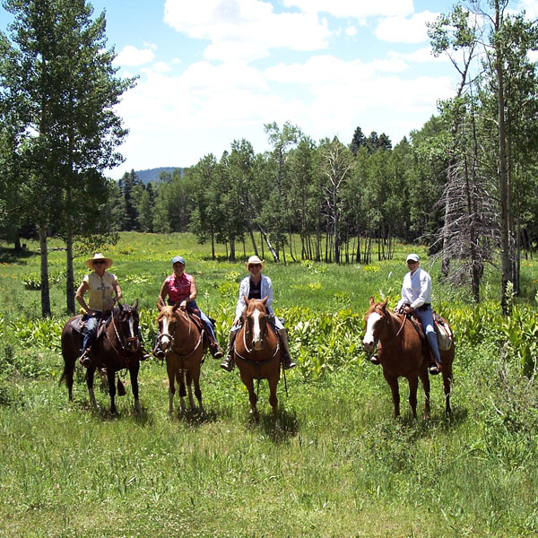 horseback riding in the Edward Sargent Wildlife Area, north of Chama in Rio Arriba County